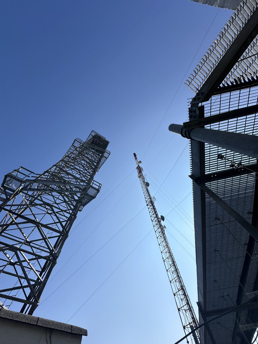 Callie Starnes tweet media