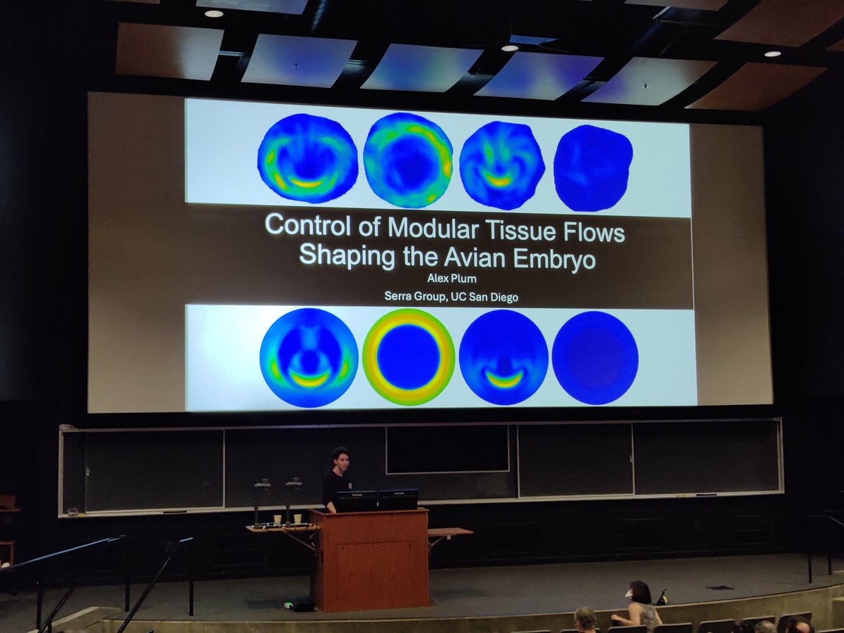 Tzer Han Tan (@tzerhan29) on Twitter photo Great talk by <a href="/axplum/">Alex Plum</a>, grad students at <a href="/Mattia__Serra/">Serra group @ UC San Diego</a> at UCSD Dev Bio meeting about modular control of tissue flows <a href="/ucsd_biophysics/">UCSD Biological Physics</a> <a href="/UCSDPhySci/">UC San Diego School of Physical Sciences</a> Great talk by <a href="/axplum/">Alex Plum</a>, grad students at <a href="/Mattia__Serra/">Serra group @ UC San Diego</a> at UCSD Dev Bio meeting about modular control of tissue flows <a href="/ucsd_biophysics/">UCSD Biological Physics</a> <a href="/UCSDPhySci/">UC San Diego School of Physical Sciences</a>