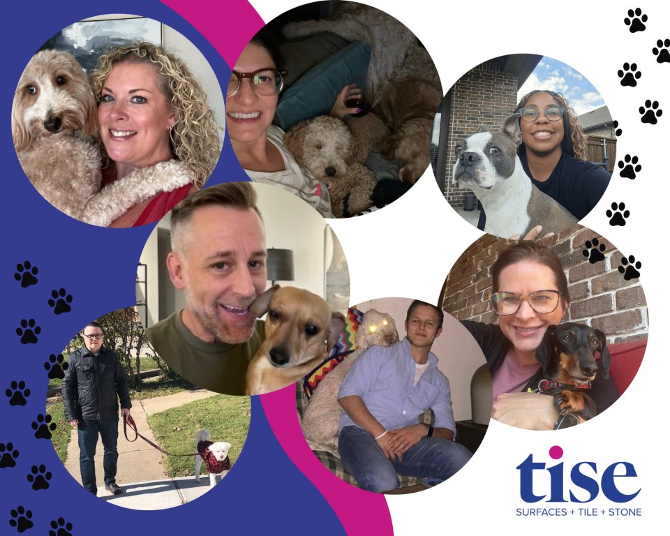 In honor of National Dog Day, the tise team would like to give a shout out to our furry friends!

#NationalDogDay