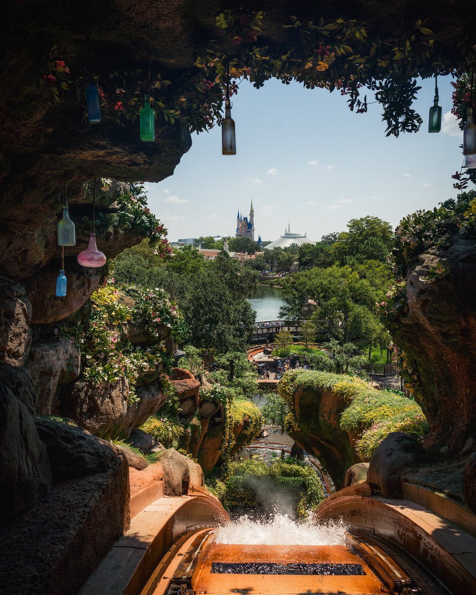 Somewareatdisney tweet media