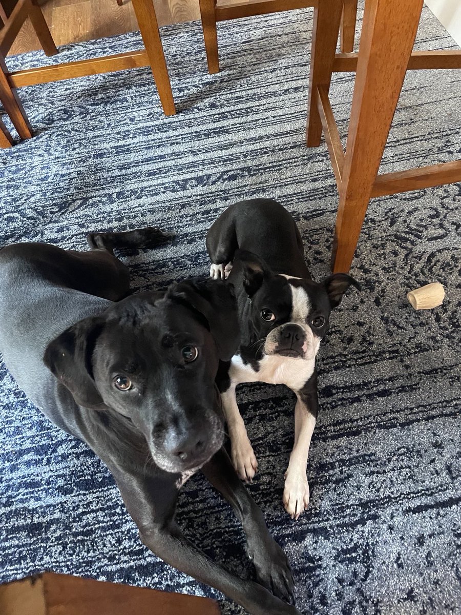 Representative Dante Pittman tweet media