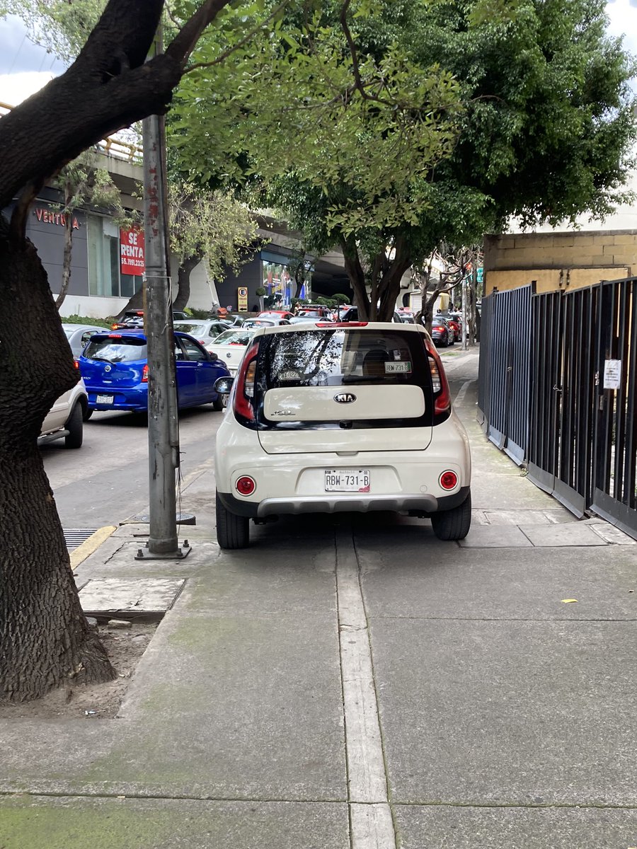 Carolyn O'Meara tweet media