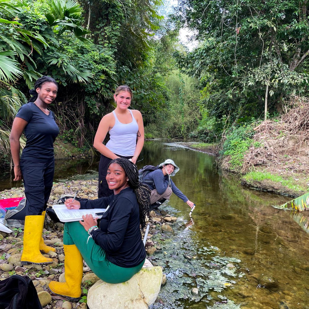 FCAT_EC's tweet photo. FCAT has successfully completed its second summer field ecology course at our reserve in the Chocó rainforest! 🌳🌿 Participants explored topics like ornithology, herpetology, water quality, and carbon dynamics. 
#Ecology #Conservation #ChocóRainforest #FieldCourse https://t.co/nYPhmh28a1