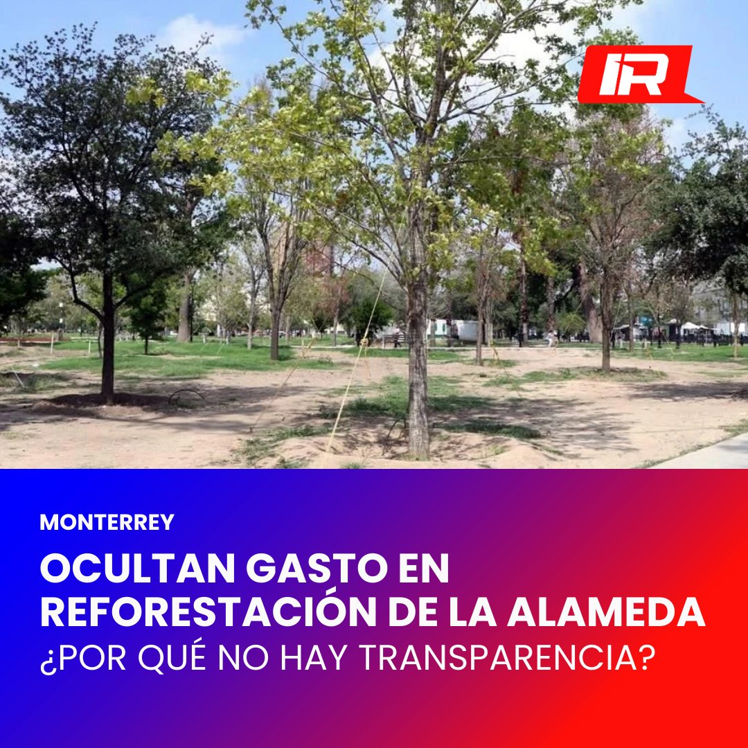InformeRegio_NL's tweet photo. 🚨 La Secretaría de Medio Ambiente evade rendir cuentas claras sobre los millones destinados a la reforestación de #LaAlameda. ¿Qué opinas sobre esta falta de transparencia? Descúbrelo en nuestro #InformeRegio: https://t.co/XG1yg4nNPp 🎙️ #Transparencia #NuevoLeón https://t.co/VAszZkKTik