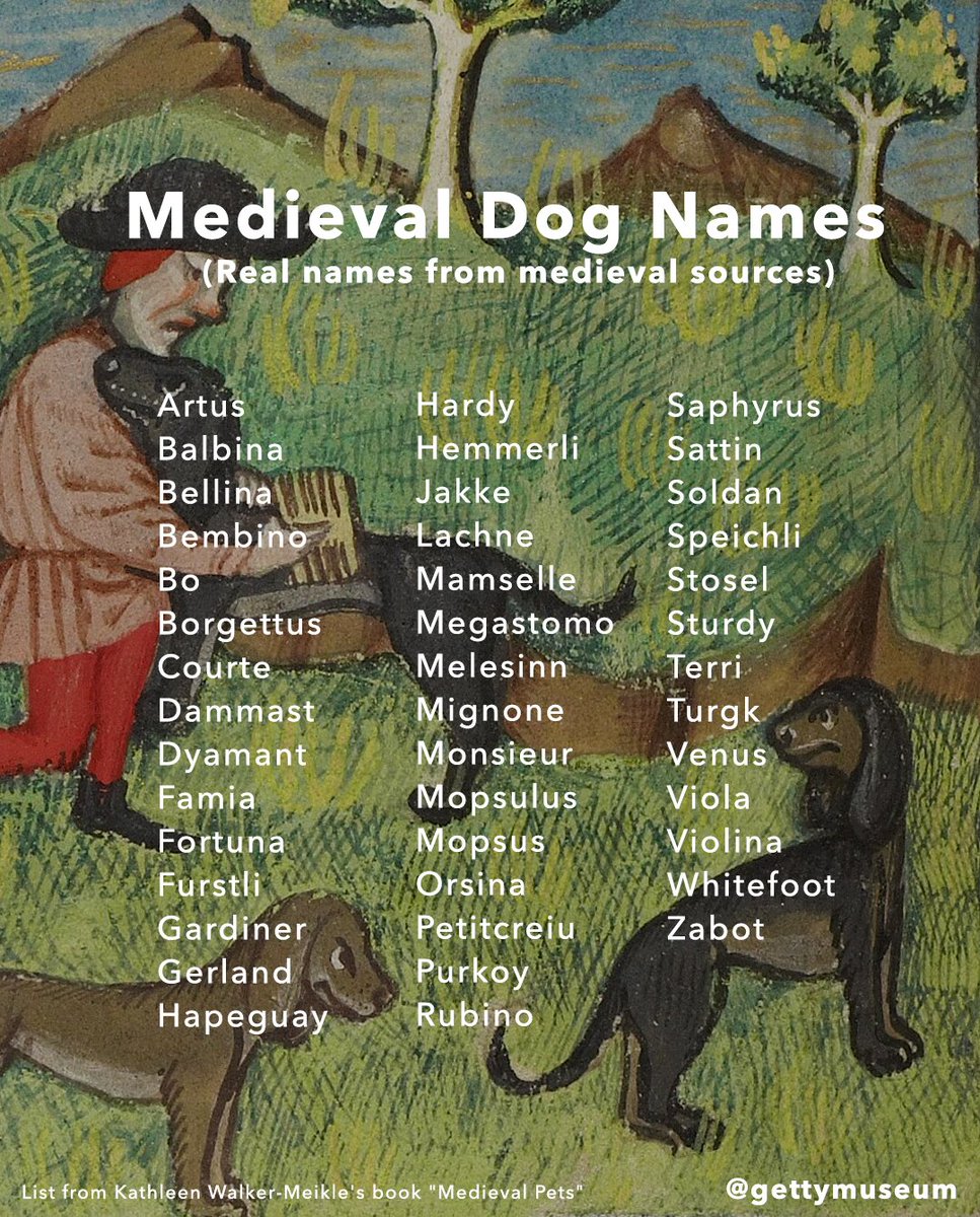 GettyMuseum's tweet image. yes, these are real medieval dog names