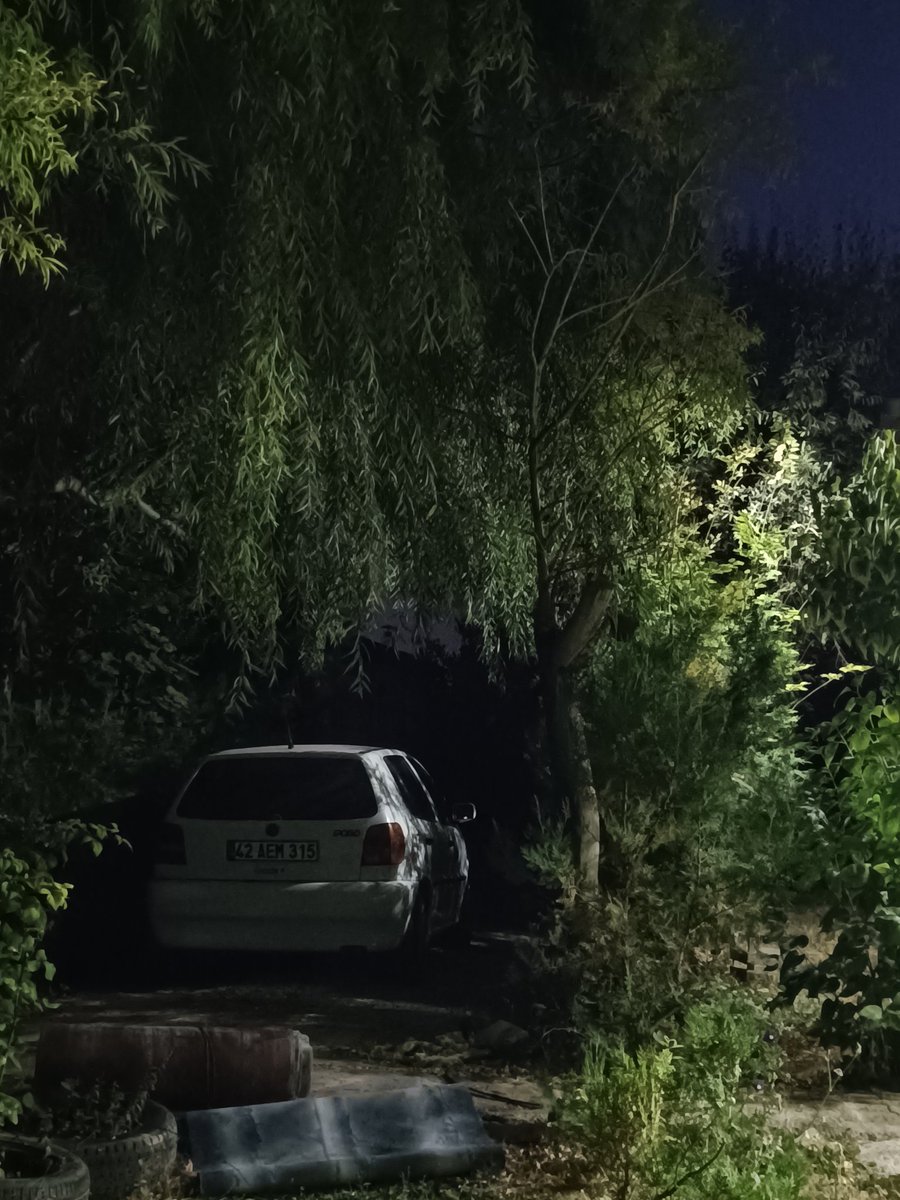 🎶 We were too close to the stars,
I'd rather lose somebody than use somebody 🎶