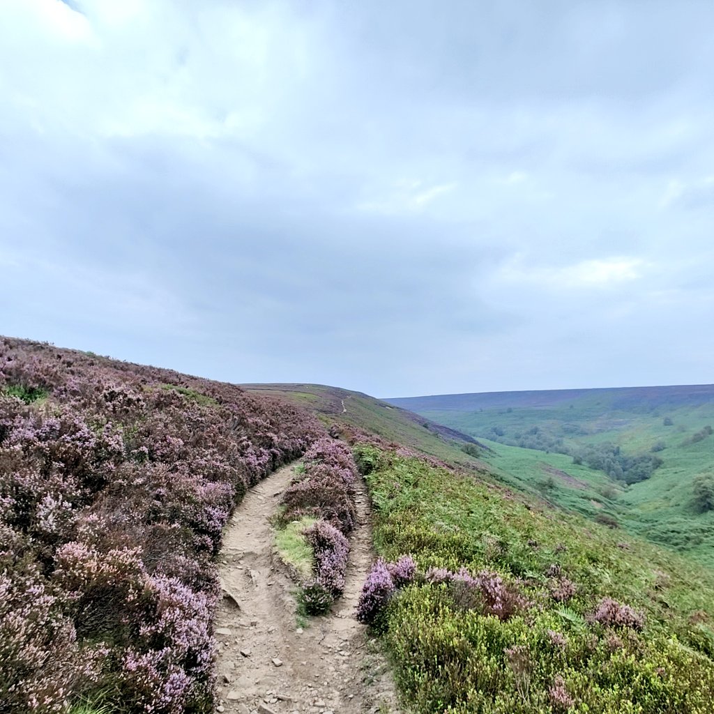 allyw222's tweet photo. So glad I went out. A lovely 14km run on the trails this evening 👌🏻😍 #peakdistrict #trailrunning #running https://t.co/cx3jlGreRO
