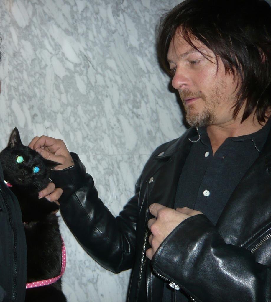 archive reedus tweet media