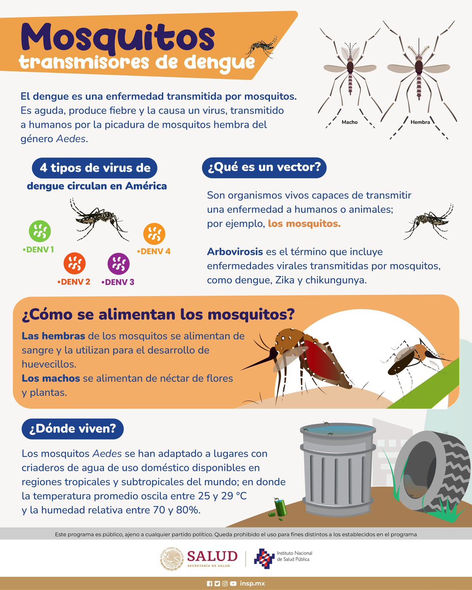INSP México tweet media