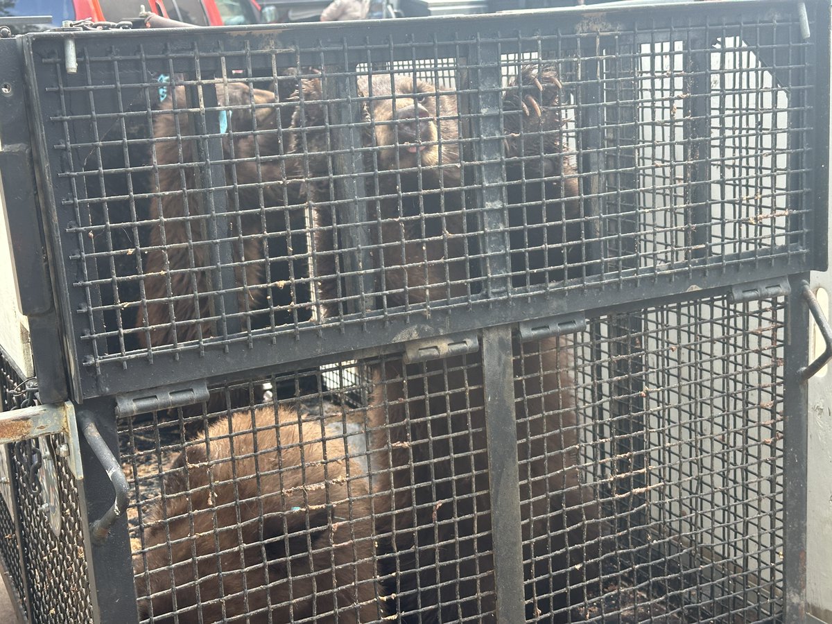 CPW SW Region tweet media