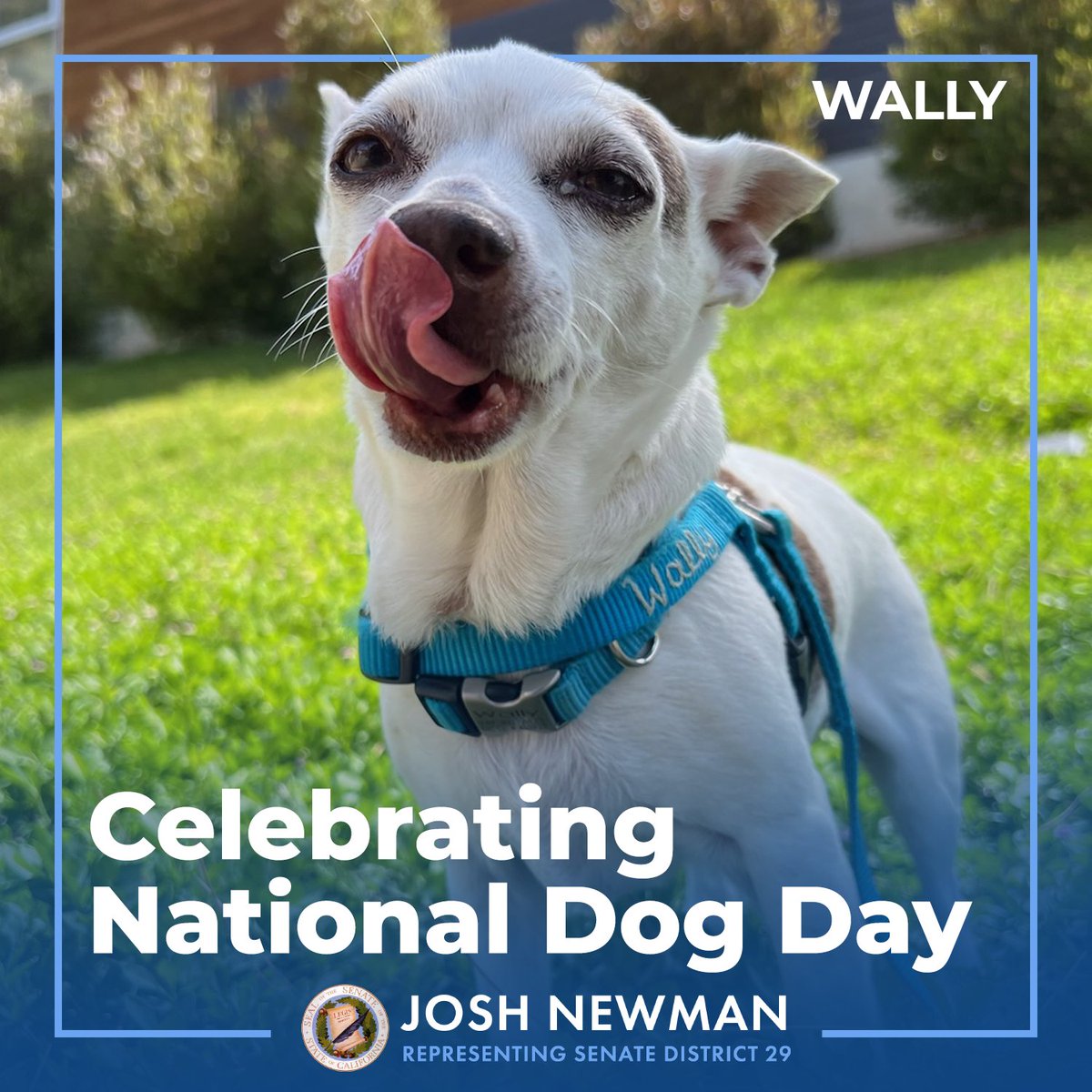 Senator Josh Newman tweet media