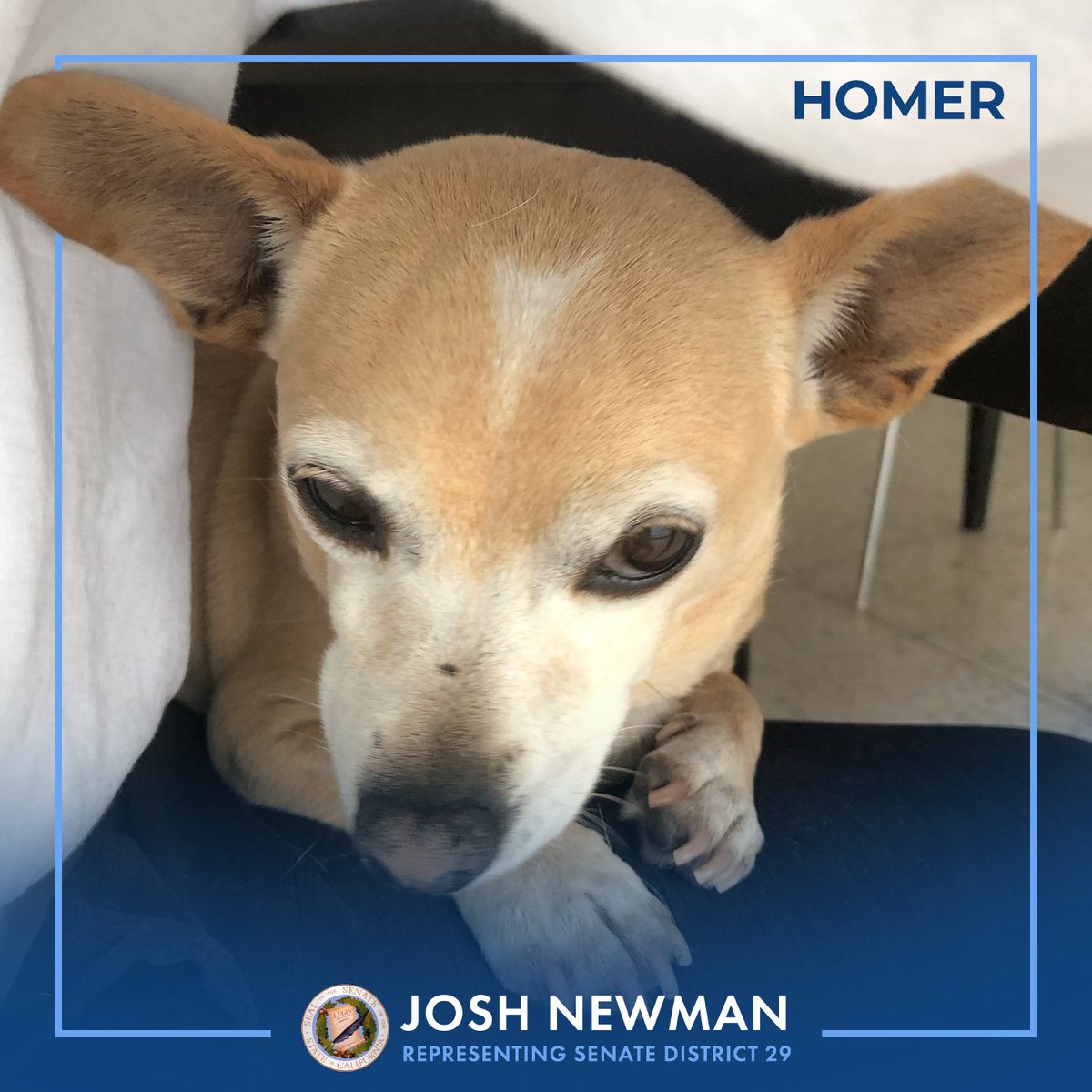 Senator Josh Newman tweet media