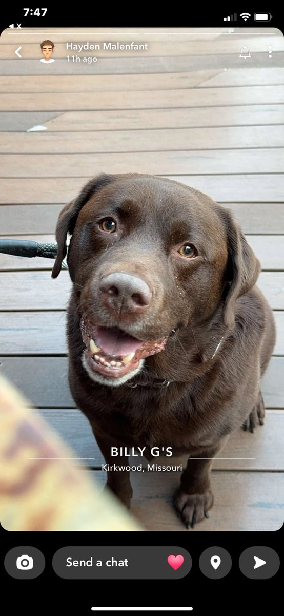 Happy National Dog Day!!!