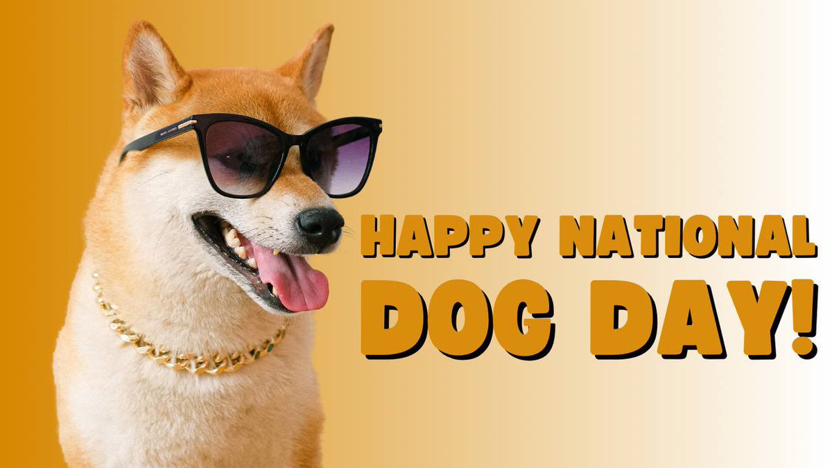 Naruto Inu tweet media