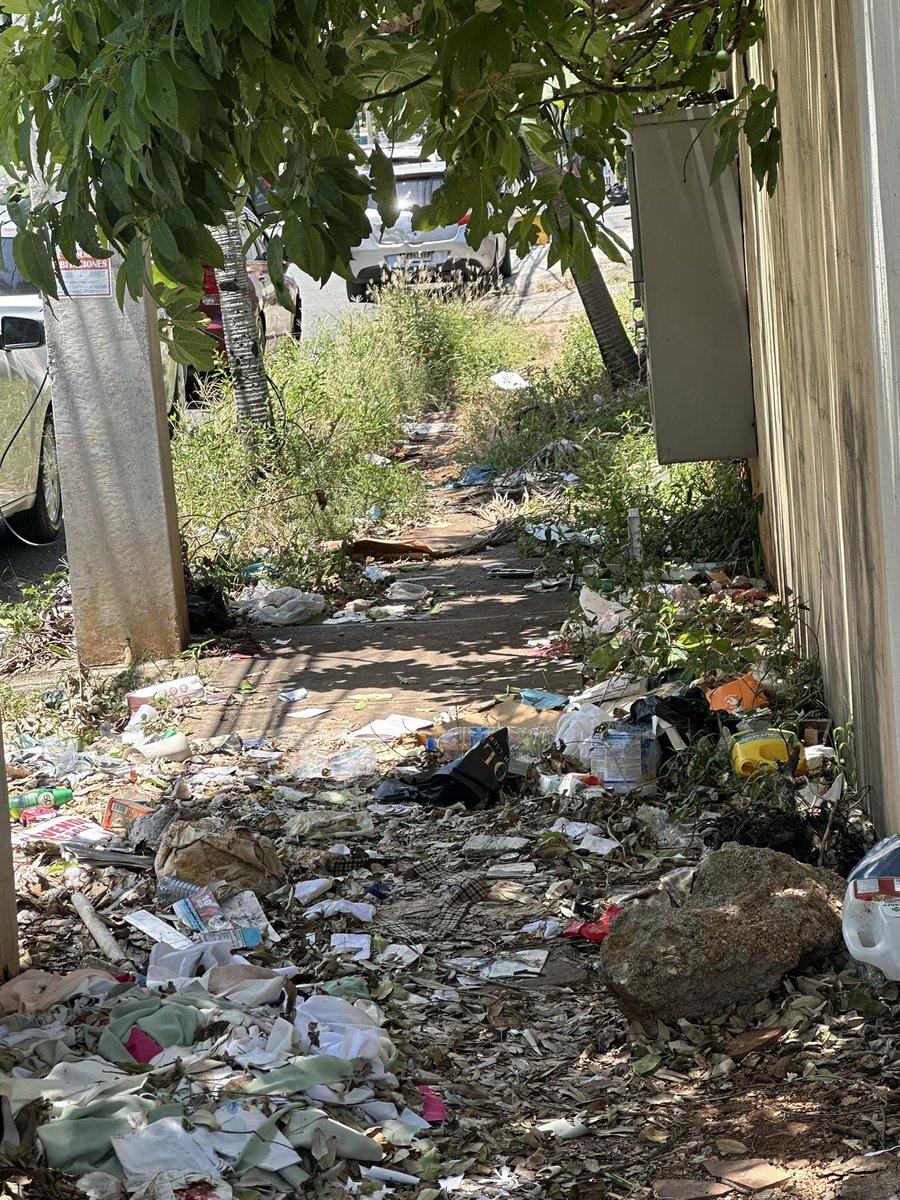 Aquilesdeleon's tweet photo. @AlcaldiaDN en plena calle Virgilio Díaz Ordóñez casi esq Rafael A Sánchez, actual corazón del DN, hay un edificio en ruinas que es un peligro para la salud publica y el ornato, aquí les dejo algunas fotos, para que sean ustedes los jurados. https://t.co/aIdNrnz8Zo