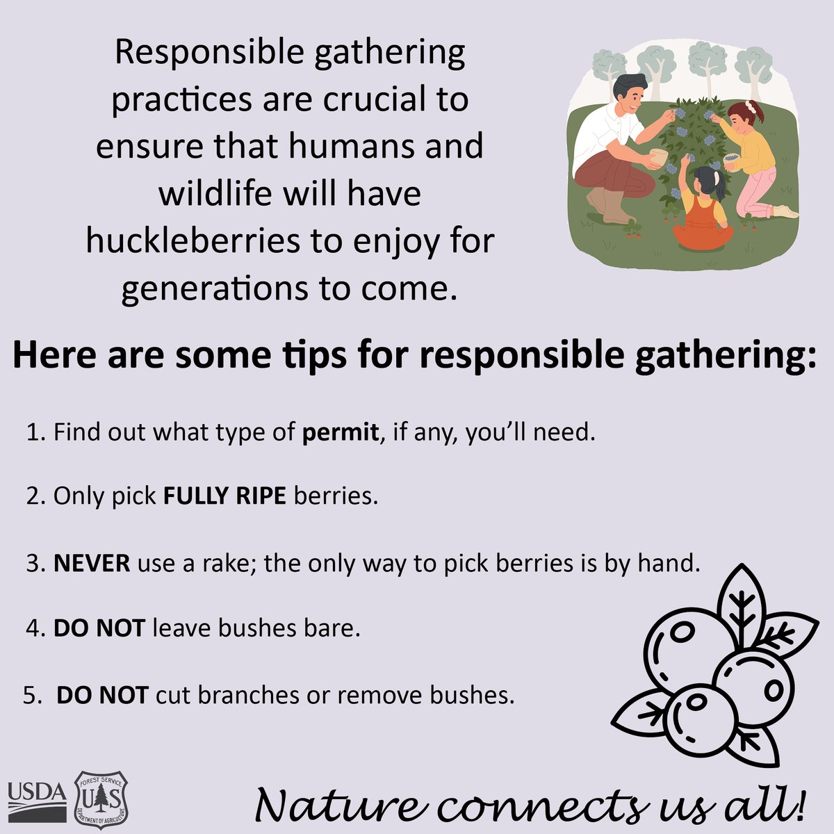 MtBakerSnoNF's tweet photo. Responsible gathering tips to keep the forest healthy and the plants abundant!
#MBS #USDAForestService #HuckleberrySeason https://t.co/imHiNa6nBB