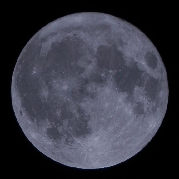 Azelrack 🦋 tweet media