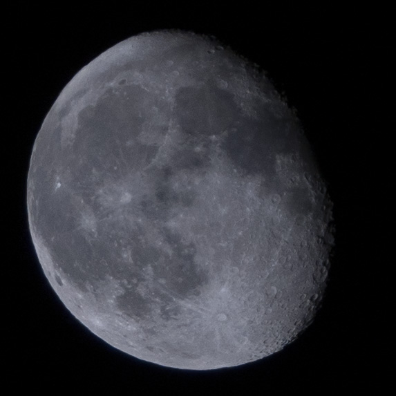 Azelrack 🦋 tweet media