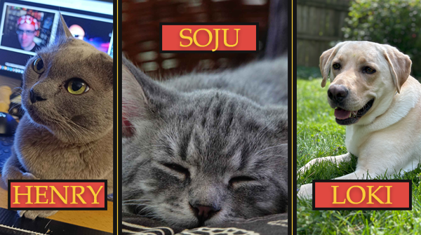 KindledAcrossTheSea tweet media