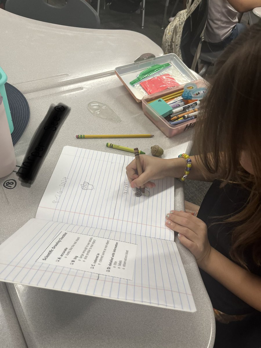 Vanessa Codd tweet media