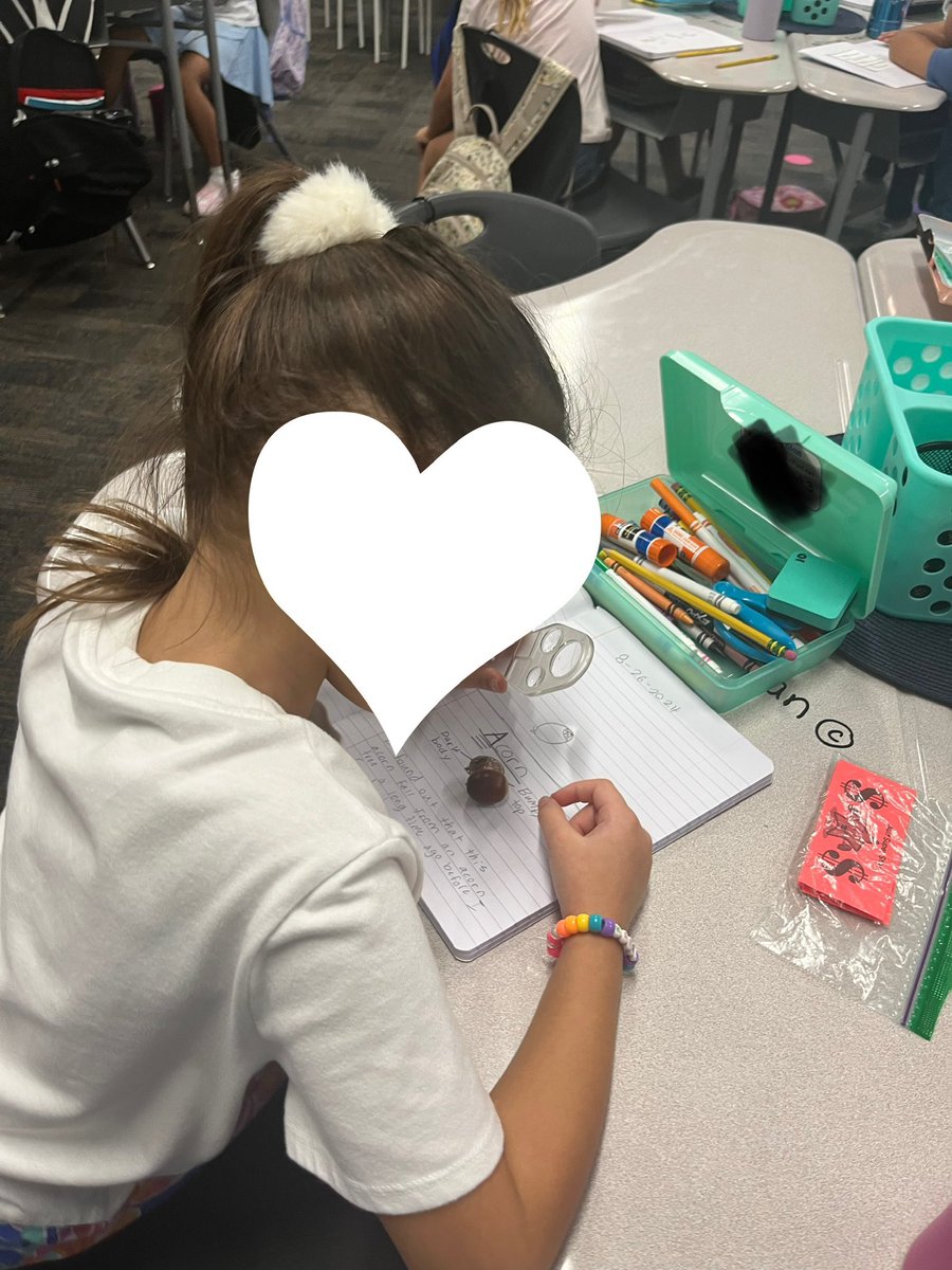 Learning how to use a hand lens and make a scientific drawing.