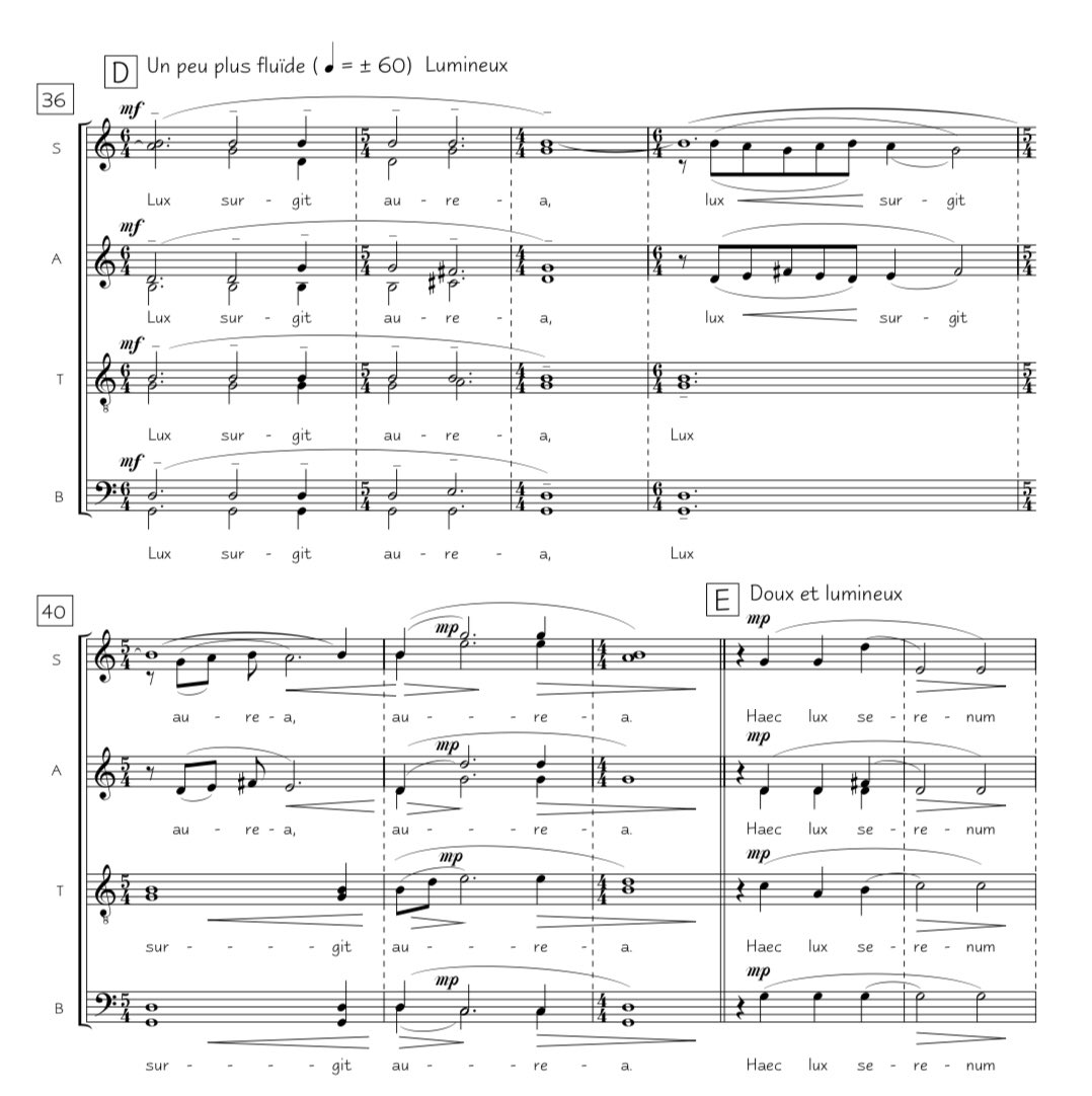 Fi del Finale.
35 anys editant les meves partitures amb aquest programa d'edició. Ben bé com un divorci, orfe d'un editor elegant, fi, creatiu, que mai posava límits si tu no te'ls posaves. Si comptéssim les hores passades... Agraïment als creadors!!!
Sibelius o Dórico? Consells?