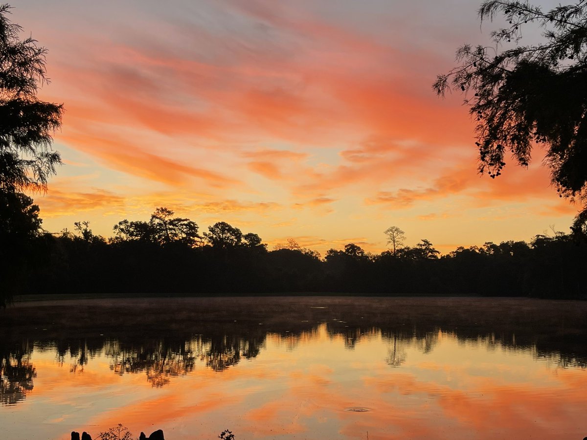 telhiard's tweet photo. Monday morning coming in bright #onlylouisiana #sunrise #alwayslookingup https://t.co/Tan6o08fxD