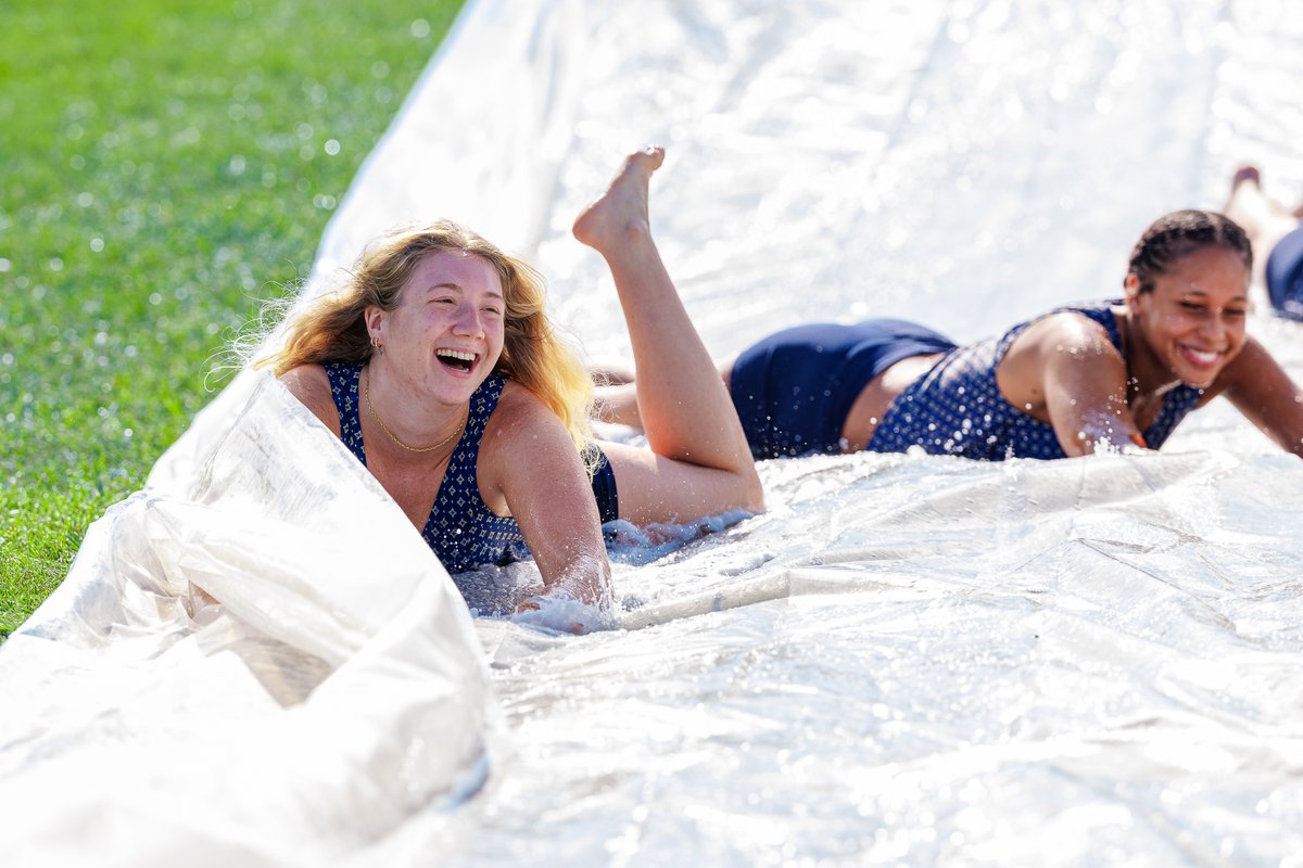Illinois Volleyball tweet media