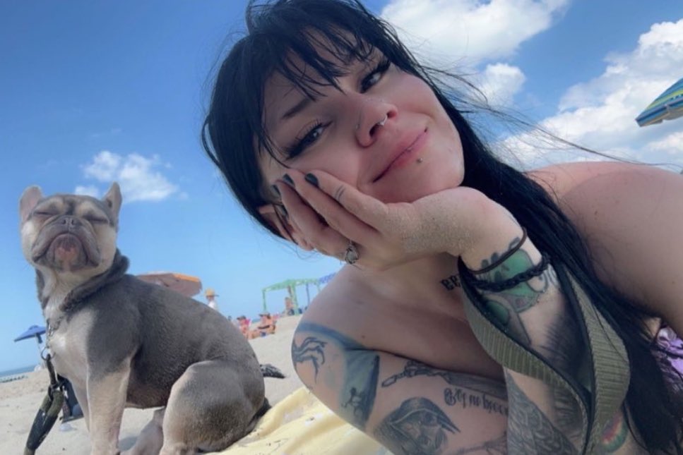 notahorror's tweet image. national dog day btw
1 like = 1 xtra pet 
1 reply = 1 xtra minute of playing 
1 repost = 1 xtra treat