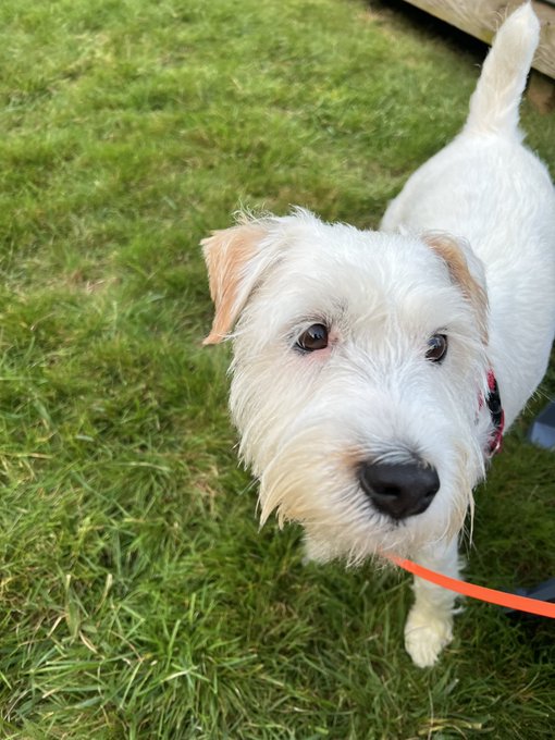 Spending time with @viv_darkbloom baby! 🐶 https://t.co/LWGyxH3Vkj<a class="tags" target="_blank" title="On Twitter" href="/?out=eyJ0eXAiOiJKV1QiLCJhbGciOiJIUzUxMiJ9.eyJpYXQiOjE3MjcyNTE5NTAsImlzcyI6InR3cG9ybnN0YXJzLmNvbSIsIm5iZiI6MTcyNzI1MTk1MCwiZXhwIjoxNzU4Nzg3OTUwLCJyZWRpcmVjdF91cmwiOiJodHRwczovL3R3aXR0ZXIuY29tL3Zpdl9kYXJrYmxvb20ifQ.JuIB2PE22BlL-ge8-J7Ck3VmPFABnjcFFzvjWRGxbk0SVmntCuuEMVEAroIYzM8Nl8fdVWvUPoIgGqcJ0-r22w">@viv_darkbloom</a>