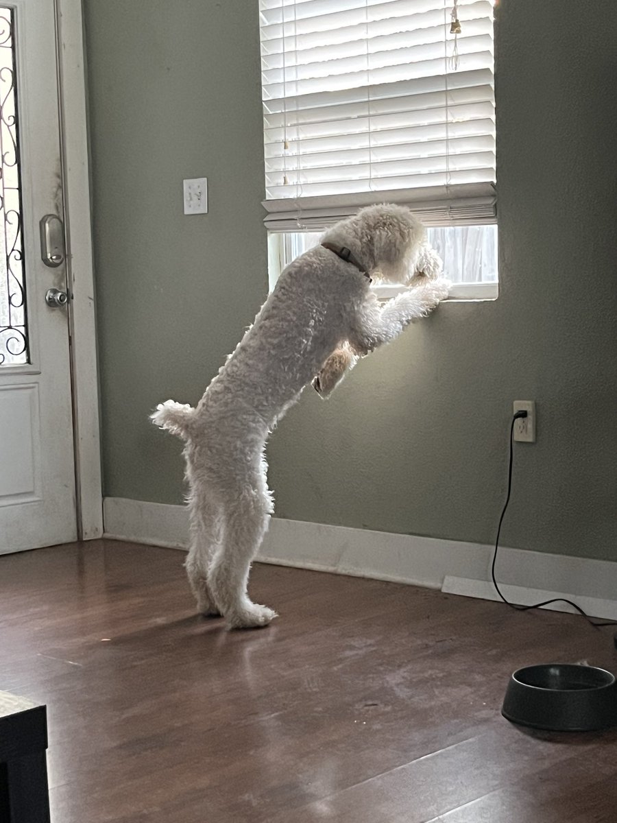 Omarthatsme's tweet photo. Bro thinks he’s the president of the HOA or something https://t.co/asLgSbByl2