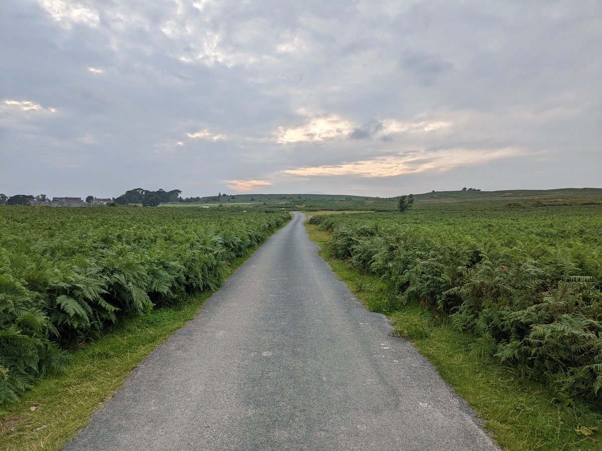 Josh McIlvenna tweet media