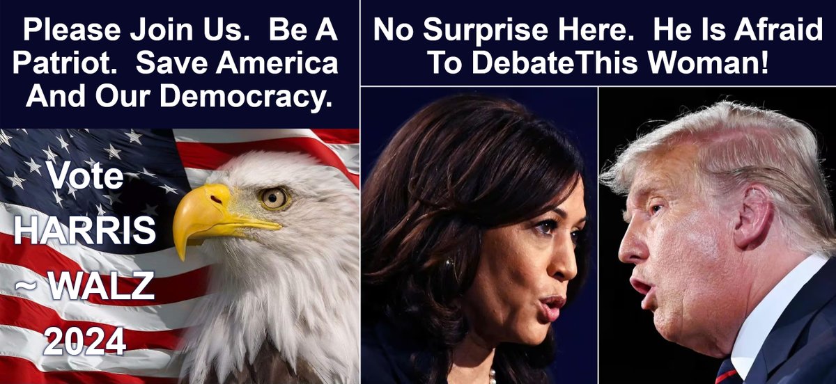 Mousemeyer's tweet photo. @TulsiGabbard I thought you were a patriot .... boy was I wrong~ https://t.co/q4yLBLLtMJ
