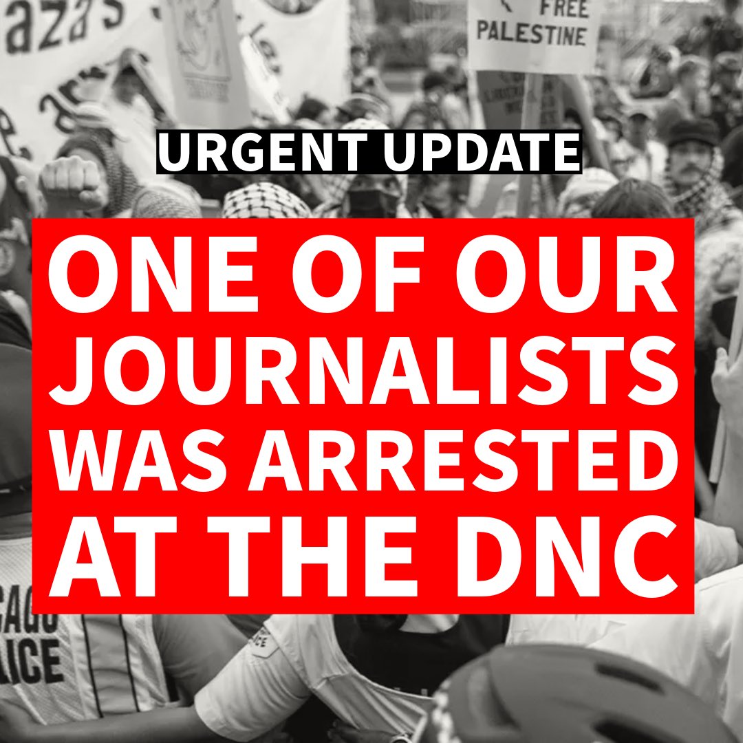 In The Belly tweet media