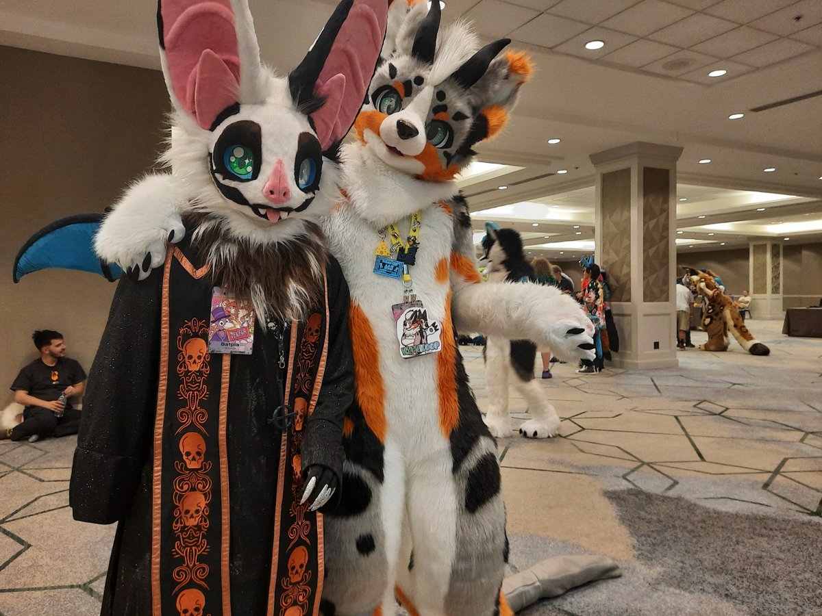 Had a blast at #Denfur2024! This was my first con. There were so many great people and memories 💙. Didn't get to finish my #papaemeritusiv bat #fursuit handpaws in time

#denfur #furry #furries #furryfandom