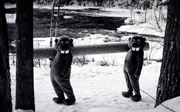 hector (@hector_brazier) on Twitter photo 