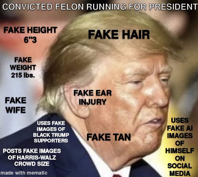96Z26's tweet photo. @7Veritas4 @Logically_JC #TrumpIsACoward and a  
#FakePresident
#FakeHumanBeing
#FakeAmerican
#FakePatriot
#REALTraitor
#RealFelon
#RealFailure
#RealWEIRDO
#RealRacist
#RealHitlerWannaBe https://t.co/azFsJg0yat