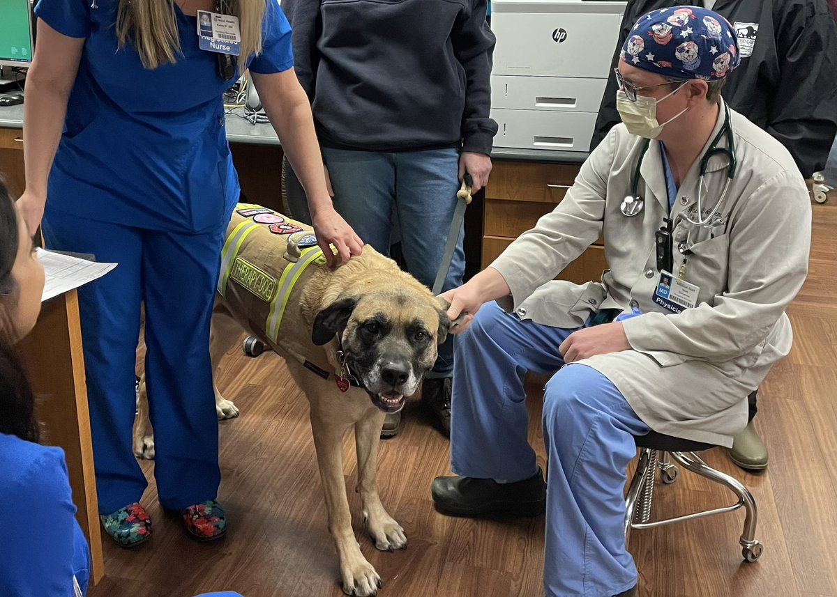 Grand Prairie Fire tweet media