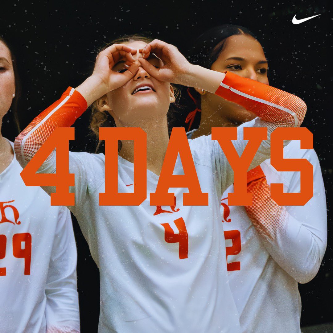 Heidelberg Volleyball tweet media