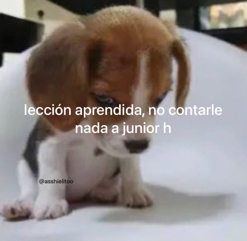 asheeeboouu's tweet photo. lección aprendida https://t.co/wJ49BhJ8IX