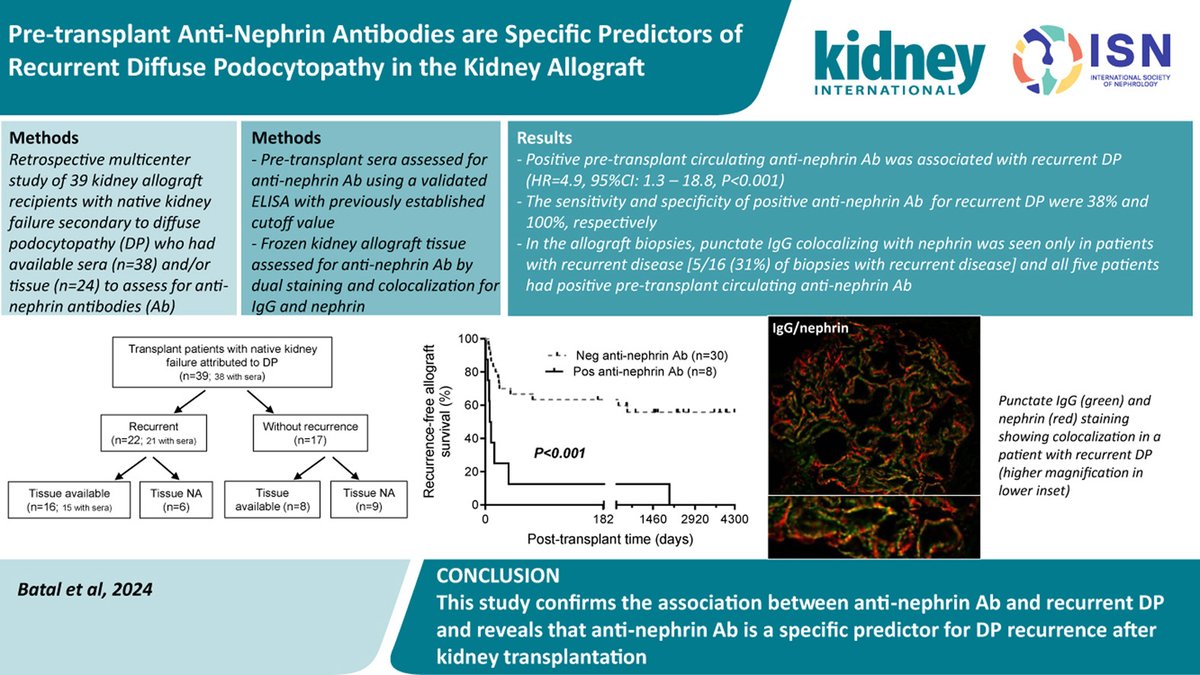 Kidney International (@kidney_int) on Twitter photo Pre-transplant anti-nephrin antibodies are specific predictors of recurrent diffuse #podocytopathy in the #kidneyallograft
doi.org/10.1016/j.kint…
<a href="/harvardmed/">Harvard Medical School</a> <a href="/ColumbiaPath/">Columbia Pathology</a> <a href="/CHU_Lille/">CHU de Lille</a> <a href="/univ_lille/">Université de Lille</a> <a href="/broadinstitute/">Broad Institute</a> @ColumbiaKidney <a href="/ColumbiaMed/">Columbia Medicine</a> <a href="/OHSUPathology/">OHSU Pathology & Laboratory Medicine</a>
#FSGS Pre-transplant anti-nephrin antibodies are specific predictors of recurrent diffuse #podocytopathy in the #kidneyallograft
doi.org/10.1016/j.kint…
<a href="/harvardmed/">Harvard Medical School</a> <a href="/ColumbiaPath/">Columbia Pathology</a> <a href="/CHU_Lille/">CHU de Lille</a> <a href="/univ_lille/">Université de Lille</a> <a href="/broadinstitute/">Broad Institute</a> @ColumbiaKidney <a href="/ColumbiaMed/">Columbia Medicine</a> <a href="/OHSUPathology/">OHSU Pathology & Laboratory Medicine</a>
#FSGS