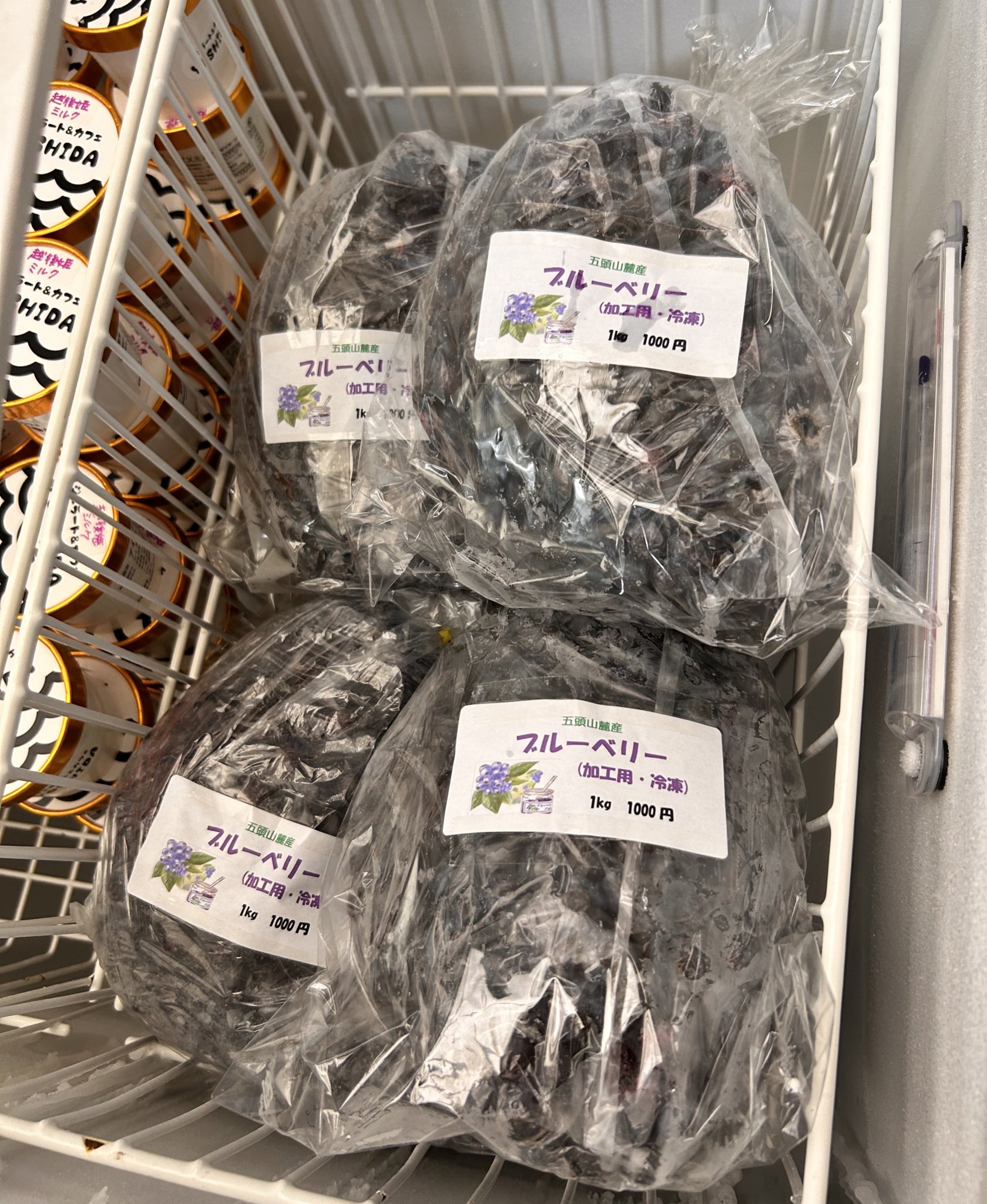 ジャム用冷凍ブルーベリー1㎏ | HONEY BLUEBERRY 新居浜