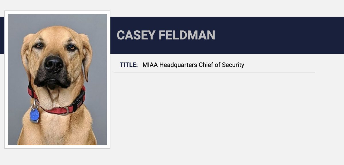 Happy #NationalDogDay to our furriest coworker 🐾💙