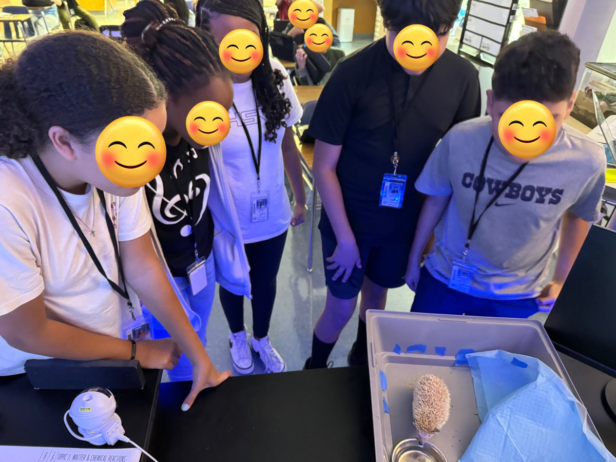 TeachwithChar's tweet image. Today, my students met Sonic, our classroom&apos;s prickly guest! 🦔 For many, it was their first time seeing a hedgehog up close. Both Sonic and the students had a blast—especially when extra treats were involved! #ScienceClass #Hedgehog #STEMFun @rwestjh @RichardsonISD