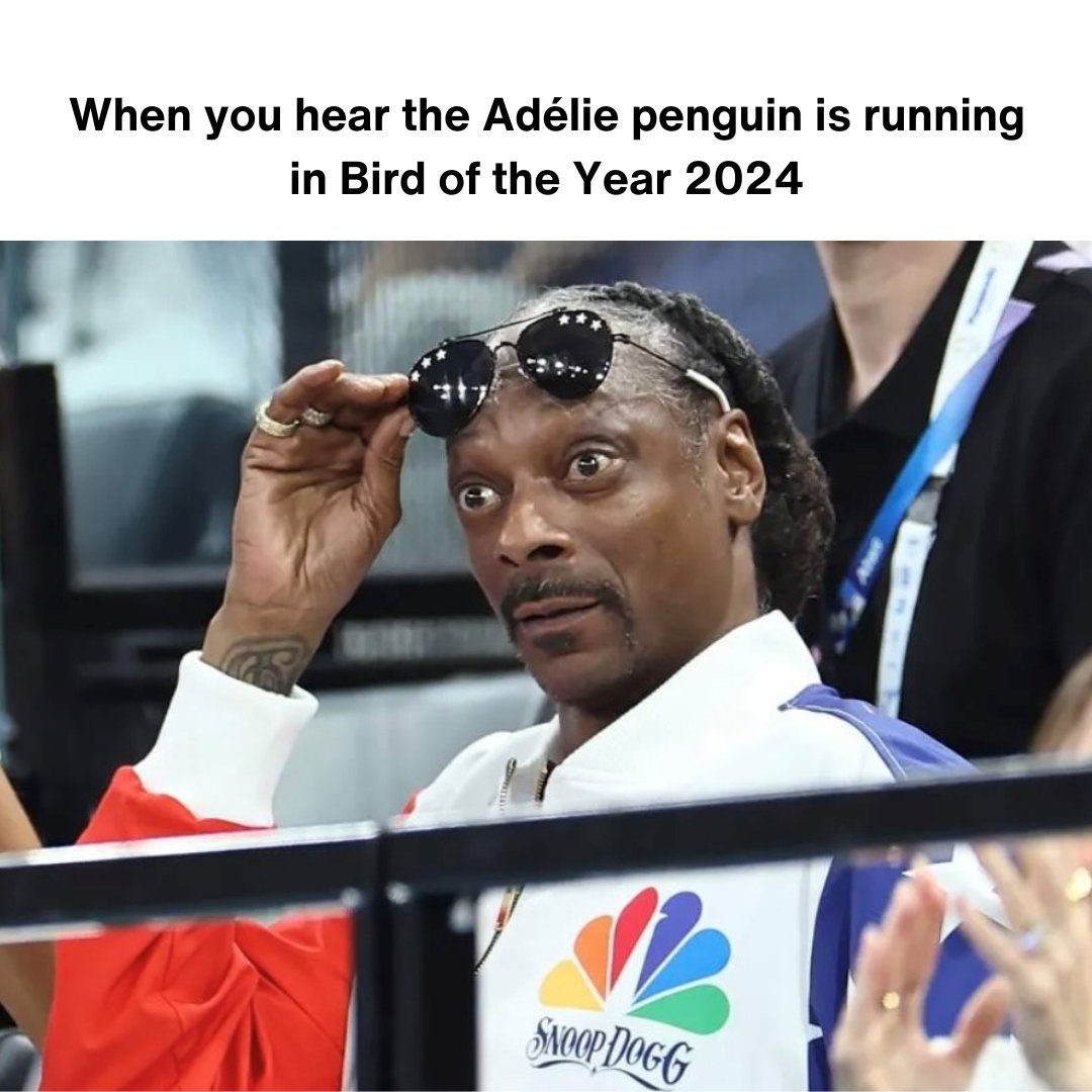 AntarcticaNewZealand tweet media