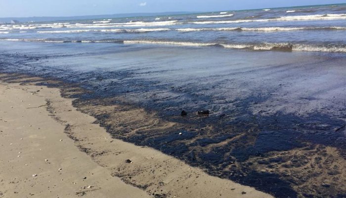 El extenso derrame petrolero del Palito, 225km² equivalente al tamaño de 37 mil canchas de fútbol, especificó el biólogo Eduardo Klein,  llegó a las playas de Boca de Aroa.
Pescadores y  expertos con tecnología satelital, registran la gran mancha al noroeste del golfo Triste