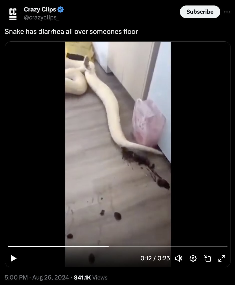 Matt Klein tweet media