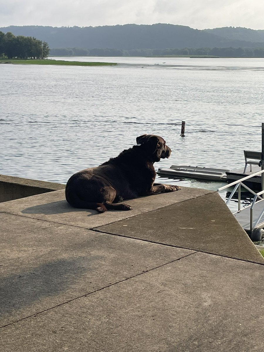 Happy National Dog’s Day To The VERY BEST GIRL! #Ruby🩷🐾#Herfavoritespot