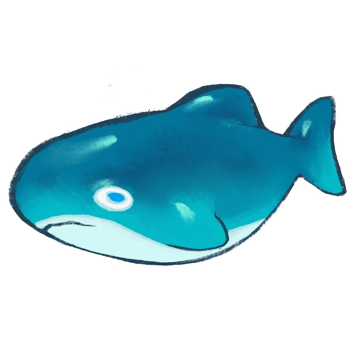 Gummy shark ✨ヽ(´∀`。)ﾉ   #gummyshark #shark