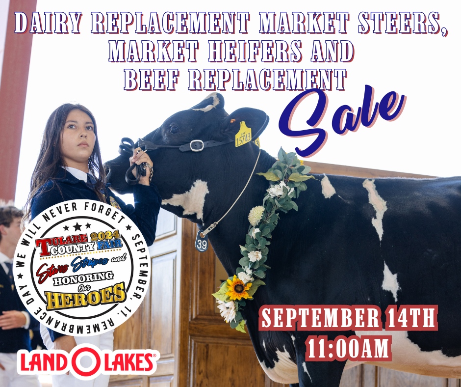 Mark your calendars for the Dairy Heifer Replacement Market Steers, Market Heifers, &amp; Beef Replacement Sale at the Tulare County Fair! 🐄

📅 Saturday, September 14th

🕗 8:00 am: Buyer Registration Opens
🍳 Brunch served by Goshen Mounted Police
🕚 11:00 am: Sale starts
Spons...